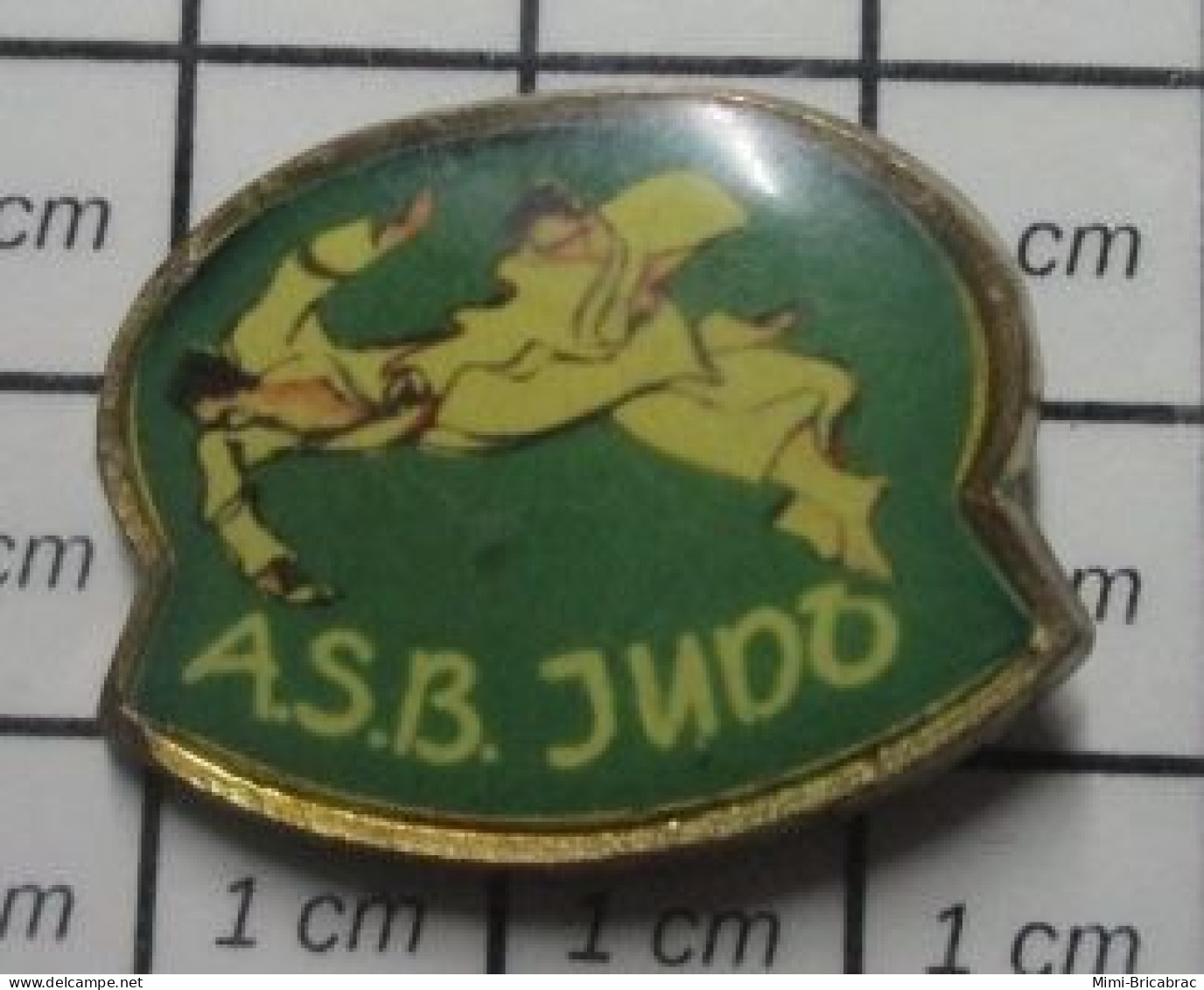 1618c Pin's Pins / Beau Et Rare : SPORTS / CLUB JUDO ASB - Alimentation