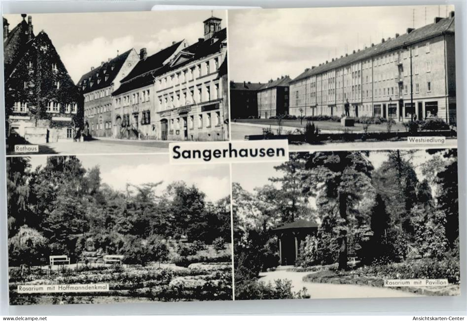 50586005 - Sangerhausen - Sangerhausen