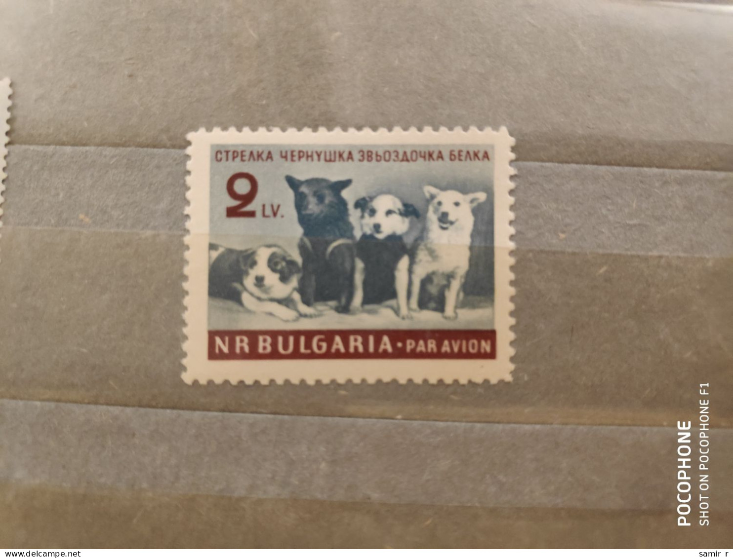 1961	Bulgaria	Space Dogs (F90) - Neufs