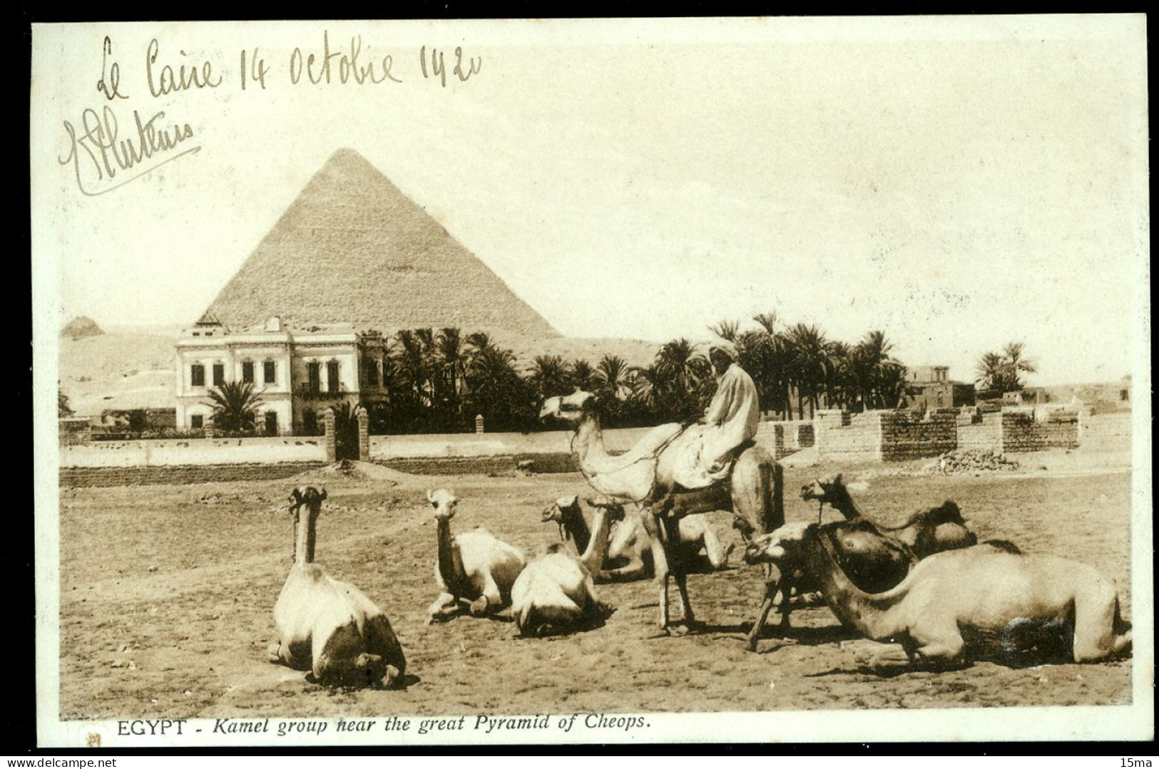 Kamel Group Near The Great Pyramid Of Cheops 1920 Scortzis - Guiza