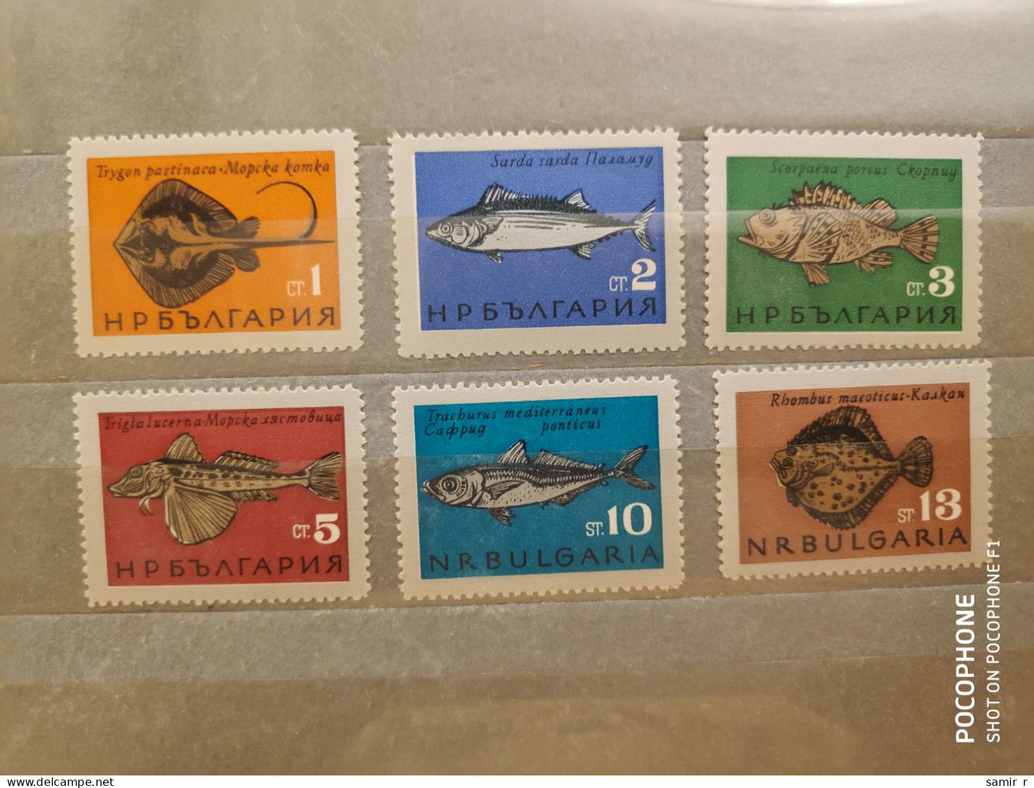 1965	Bulgaria	Fishes (F90) - Unused Stamps