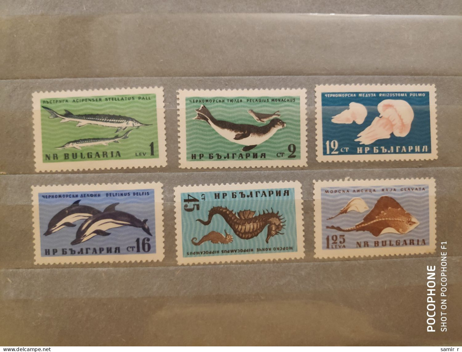 1961	Bulgaria	Fishes (F90) - Unused Stamps