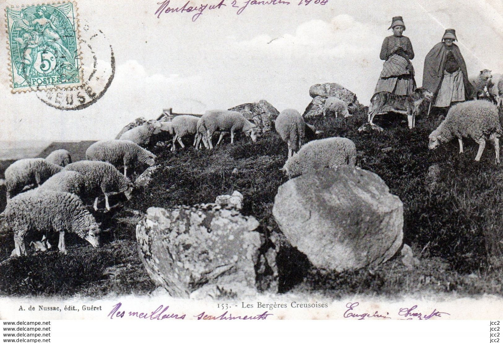 AGRICULTURE - Les Bèrgères Creusoises (Moutons) - Veeteelt