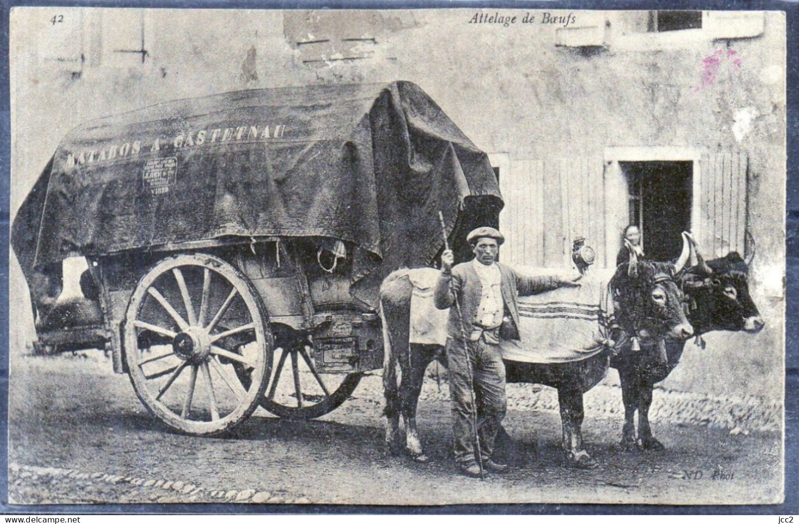 Carte  - Attelage De Boeufs-(Matabos A. Castetnau - Spannen