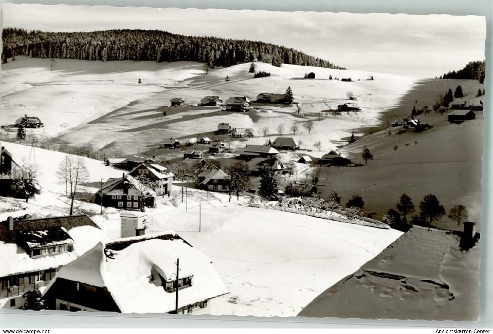 39859605 - Todtnauberg - Todtnau