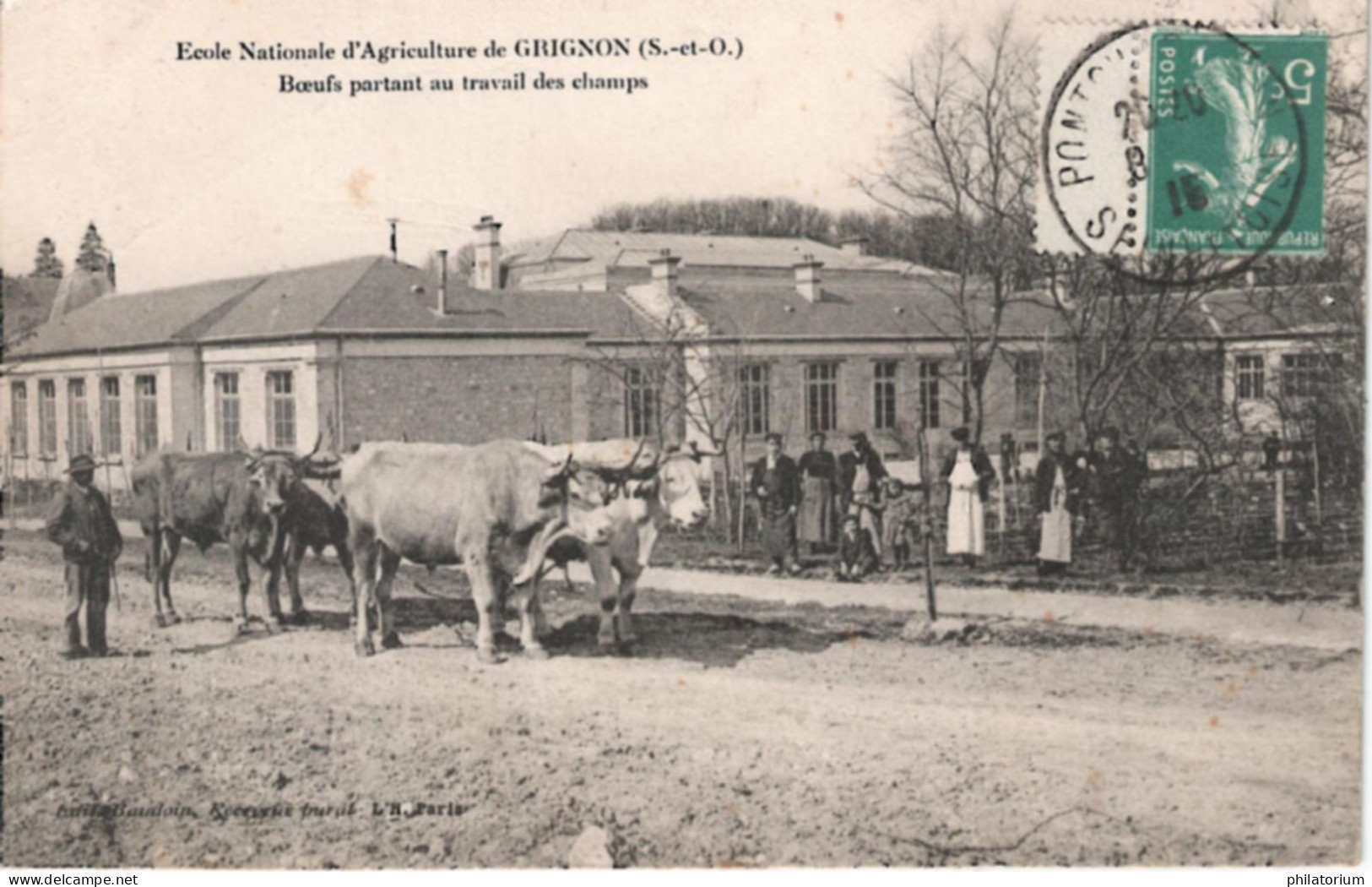 78  GRIGNON  Ecole D'Agriculture  Boeufs Partant Au Travail Des Champs - Grignon