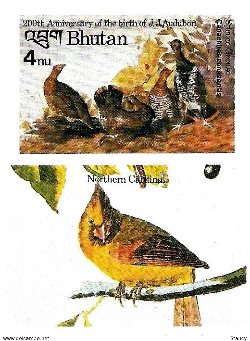 Bhutan 1985 Birds Audubon Complete Set Of 8 "Imperf" Stamps With Vignette MNH, As Per Scan, Only One Available - Sonstige & Ohne Zuordnung