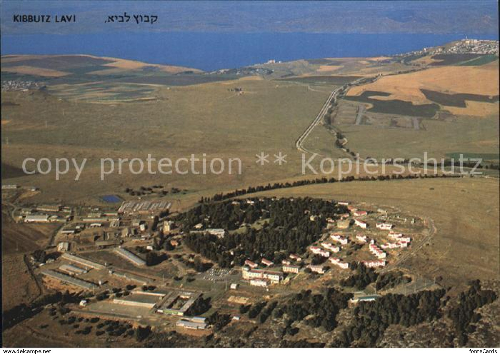 72450709 Lavi Kibbutz Lavi Fliegeraufnahme  - Israele