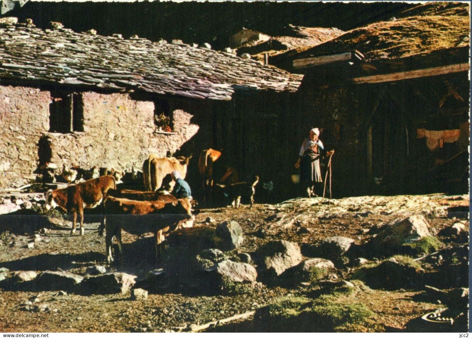 Ferme - Heure De La Traite - Boerderijen