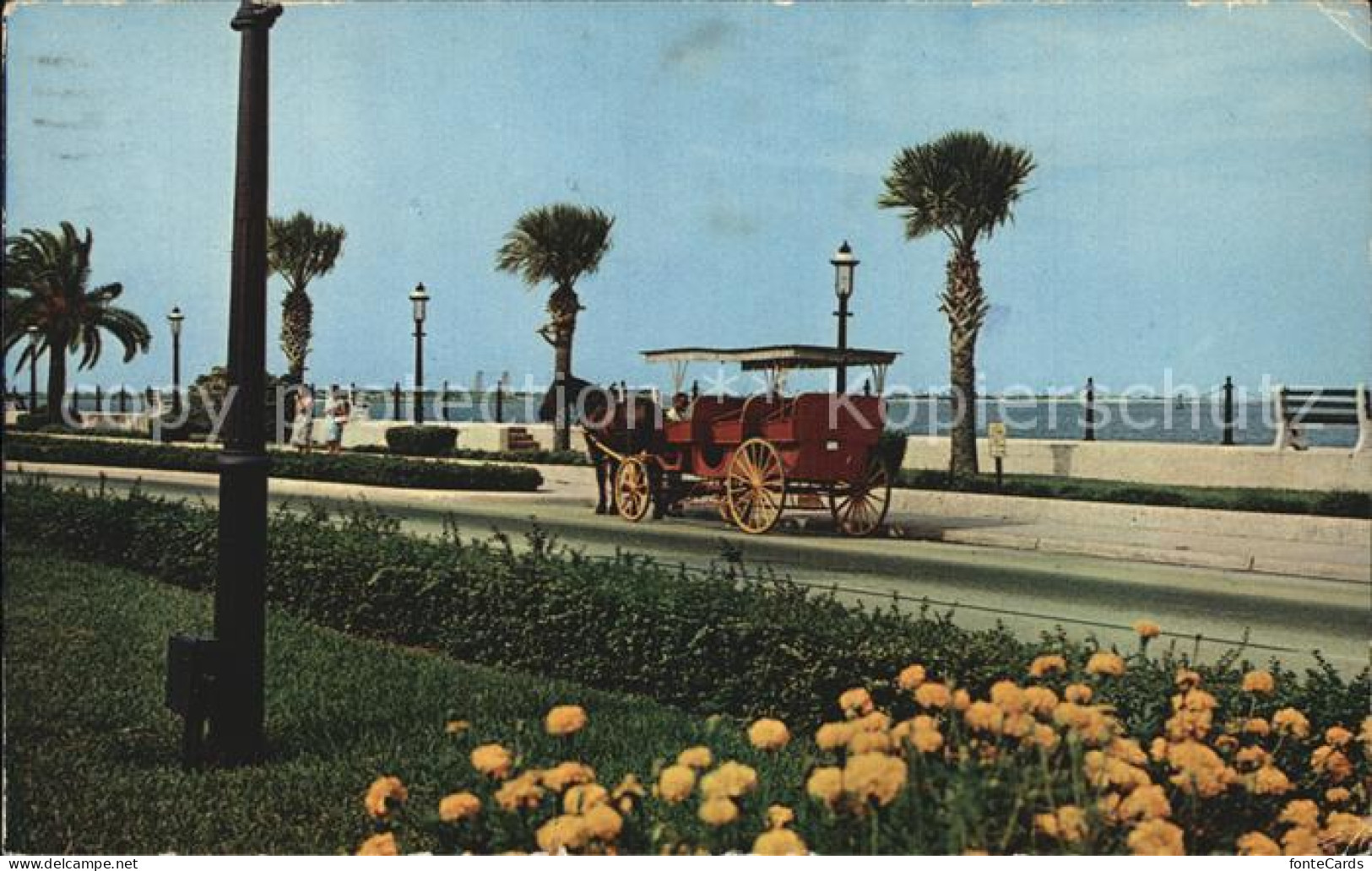 72449761 St_Augustine Sightseeing Carriage - Other & Unclassified