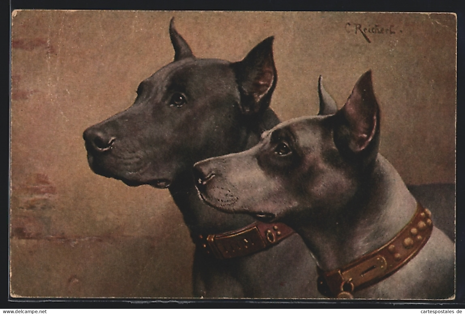 Künstler-AK Carl Reichert: Zwei Hunde Im Portrait Gemalt  - Dogs