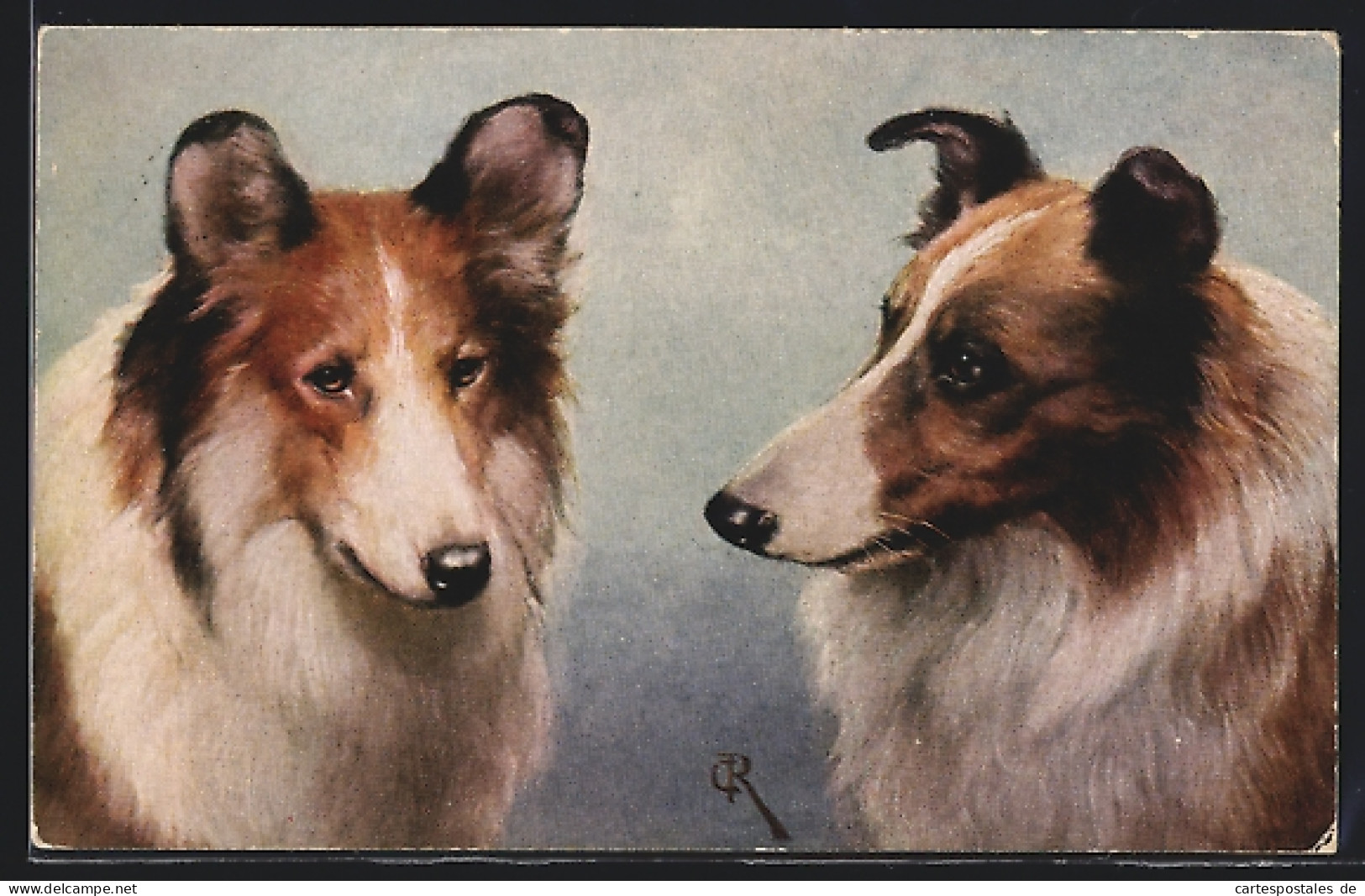 Künstler-AK Carl Reichert: Zwei Colleys  - Dogs