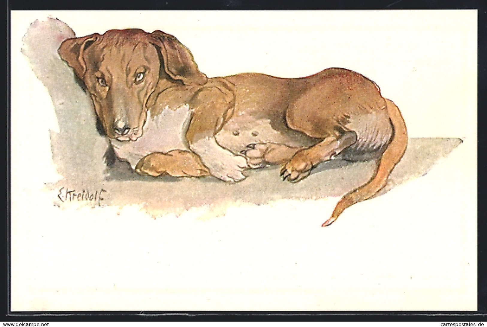 Künstler-AK Ernst Kreidolf: Der Sinnende Braune Dackel  - Dogs