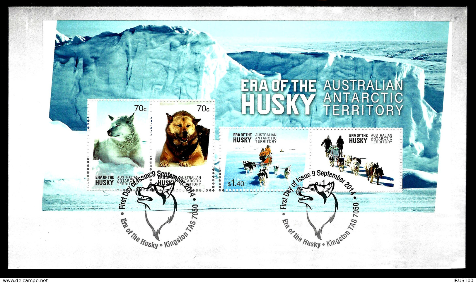 CHIEN DE TRAINAUX - HUSKY - AUSTRALIAN ANTARCTIC TERRITORY - - Chiens