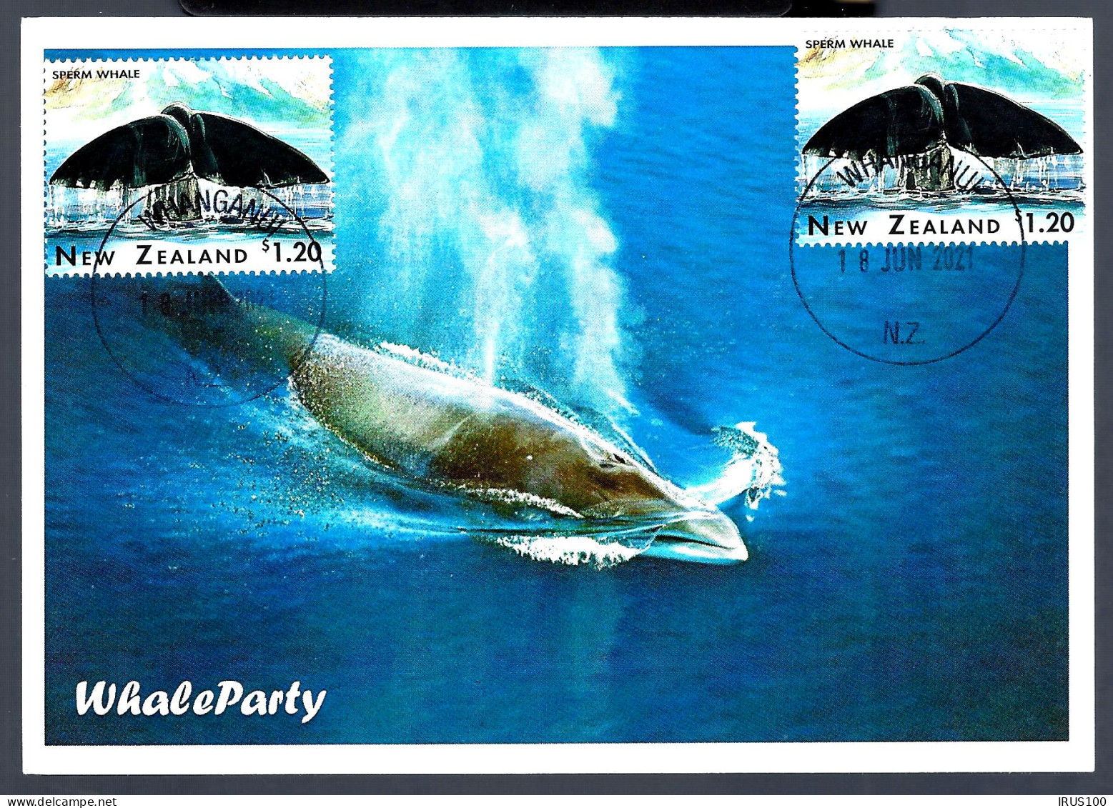 BF BALEINES - WHALE PARTY - NEW ZEALAND - - Wale