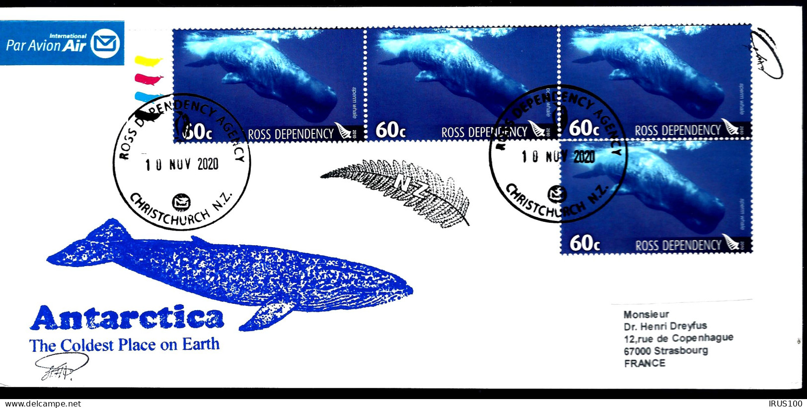 BALEINES - ROSS DEPENDENCY - THE COLDEST PLACE ON EARTH - WHALE COLVING ACTION - Whales