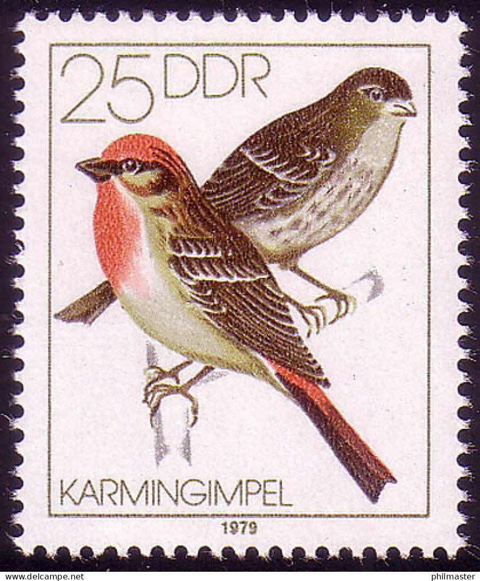 2391 Heimische Singvögel 25 Pf Karmingimpel ** Postfrisch - Ungebraucht