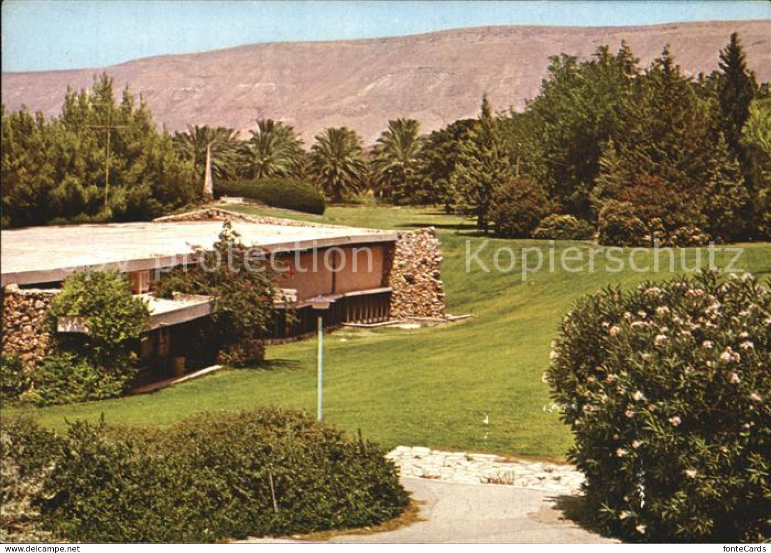 72437772 Israel Kibbutz Israel - Israel