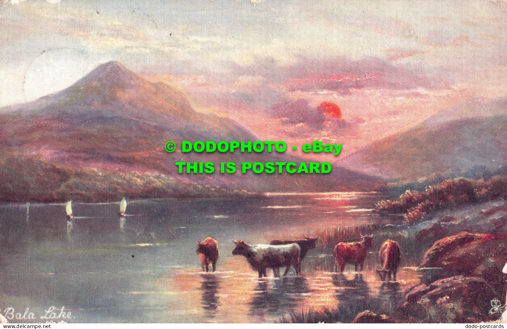 R485314 Bala Lake. Picturesque North Wales. Series IV. Tuck. Oilette. 6233. 1905 - Mondo