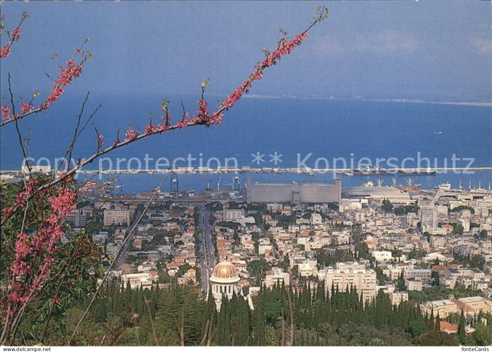 72434965 Haifa Stadtansicht Haifa - Israel