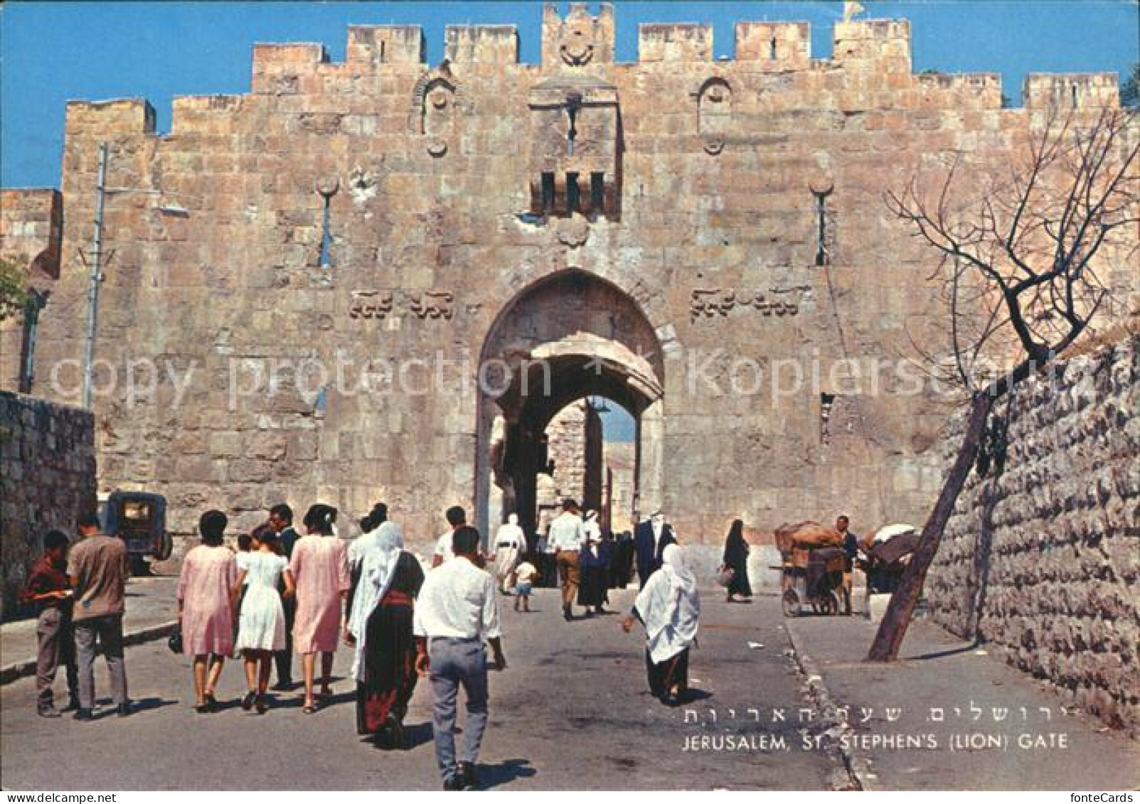 72432647 Jerusalem Yerushalayim St Stephens Gate  - Israel