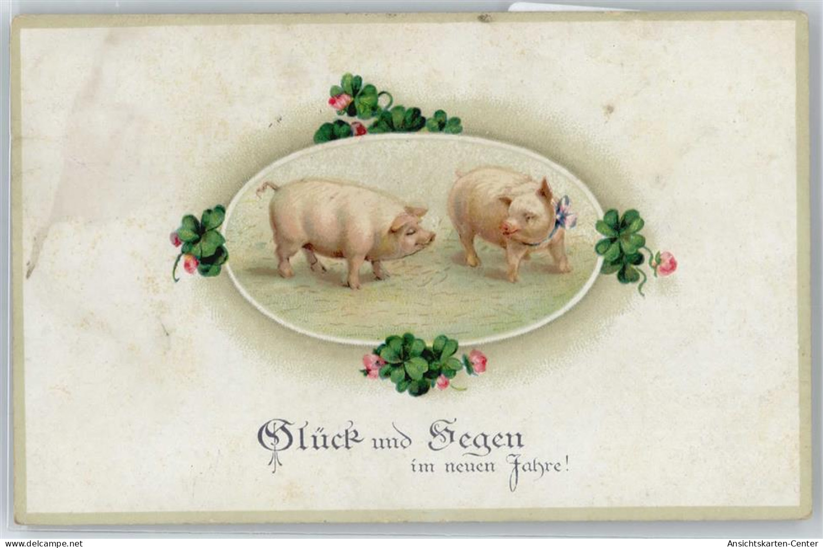 50548405 - Schwein , Kleeblatt - Märchen, Sagen & Legenden