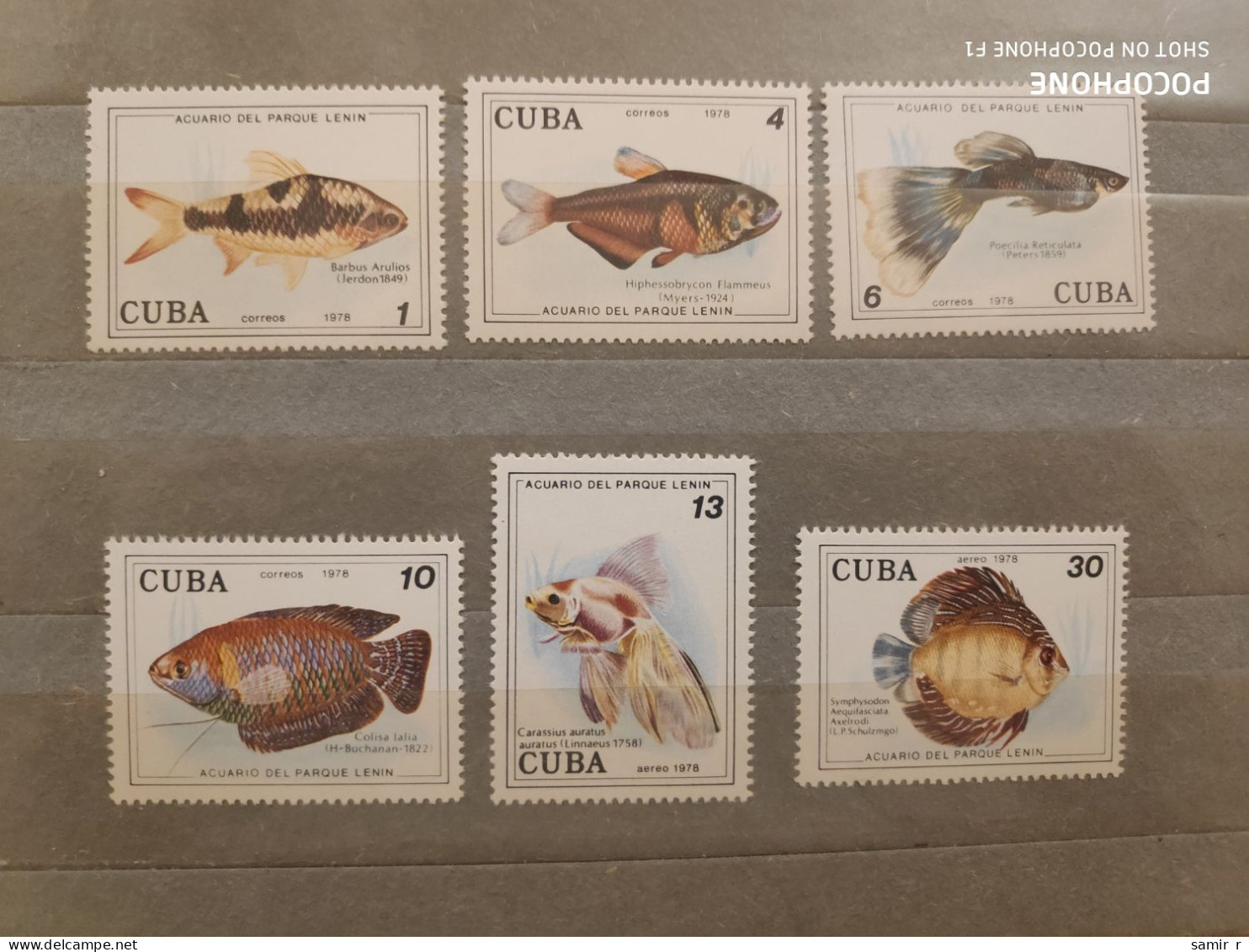 1968	Cuba	Animals Fishes  (F90) - Nuevos