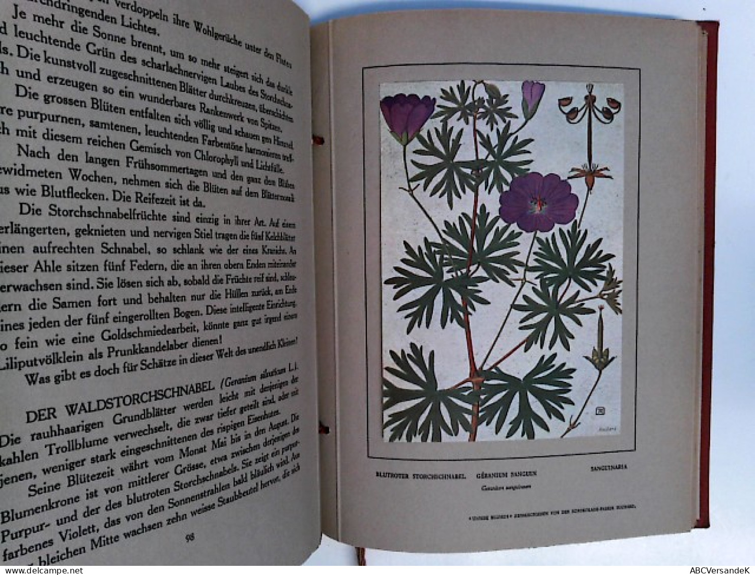 Unsere Blumen. 48 Farbtafeln Des Malers Philippe Robert 134 Blumenspiele - Natura