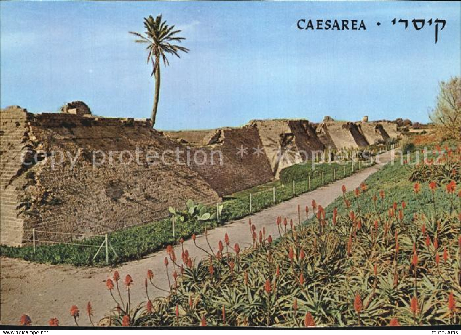 72416349 Caesarea Israel Crusaders City Wall Caesarea Israel - Israel