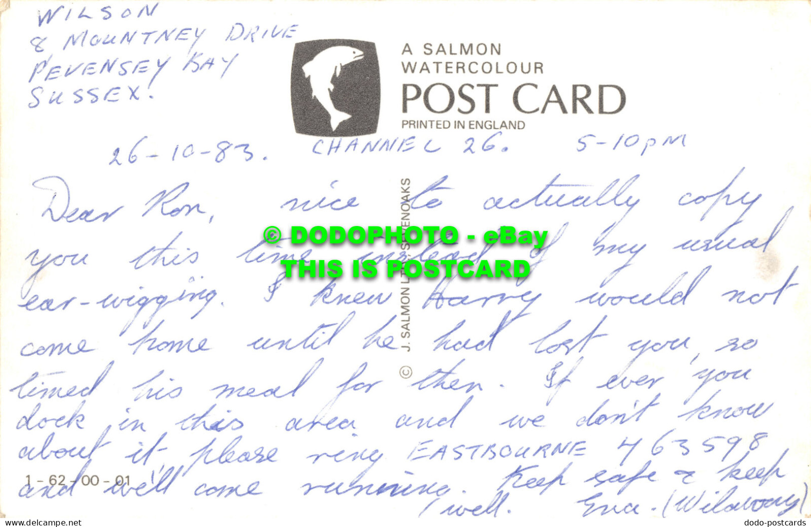 R485668 Sussex. J. Salmon. Postcard - Monde