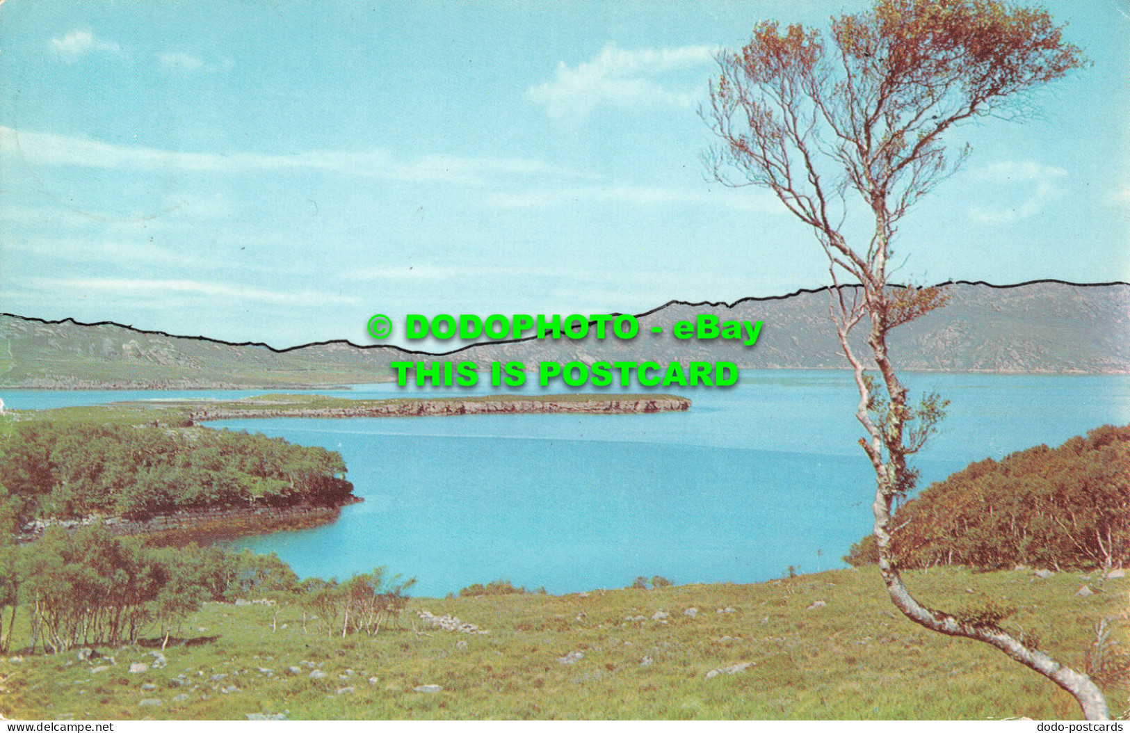 R485683 Wester Ross. Loch Torridon. Postcard - Monde