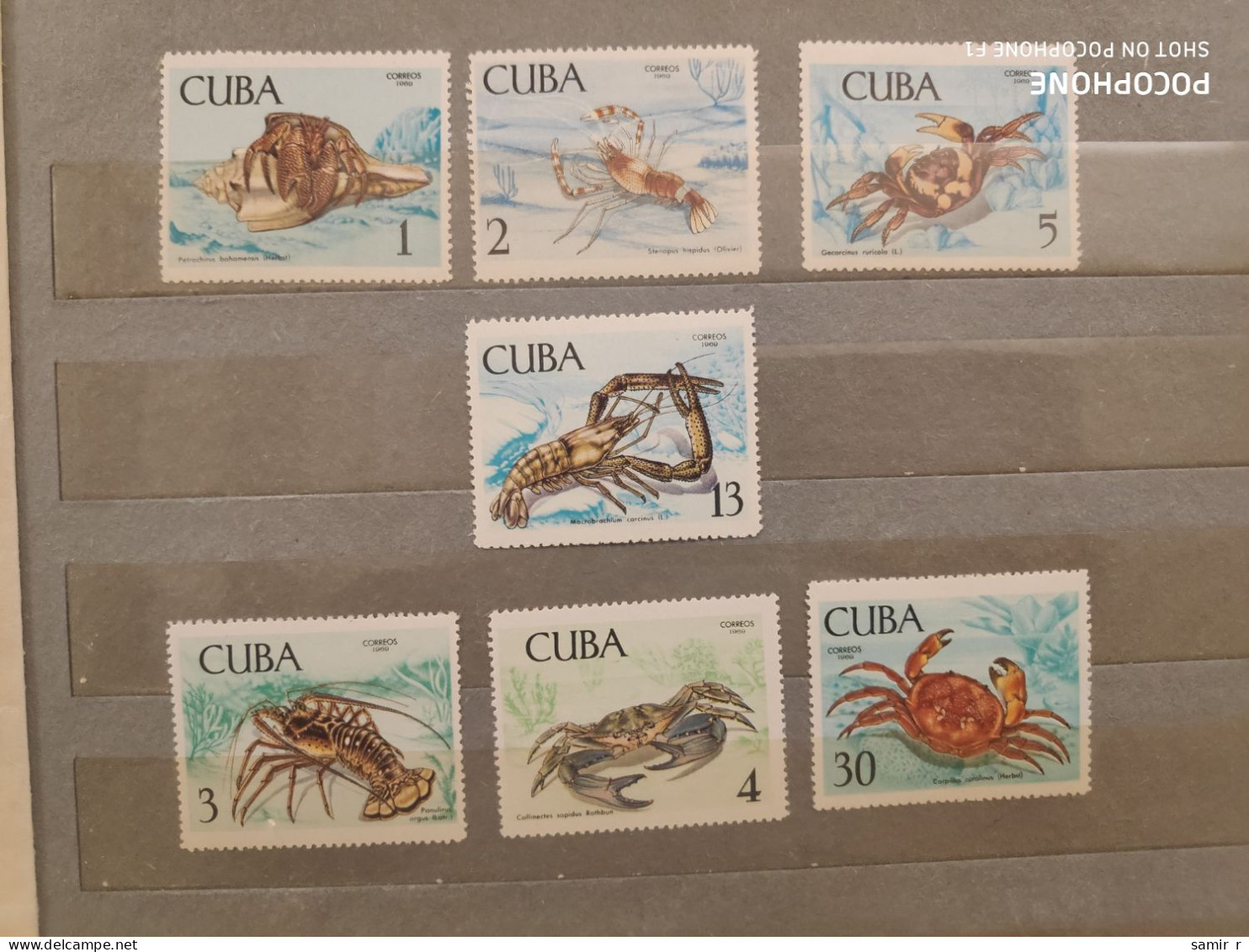 1969	Cuba	Crabs   (F90) - Unused Stamps