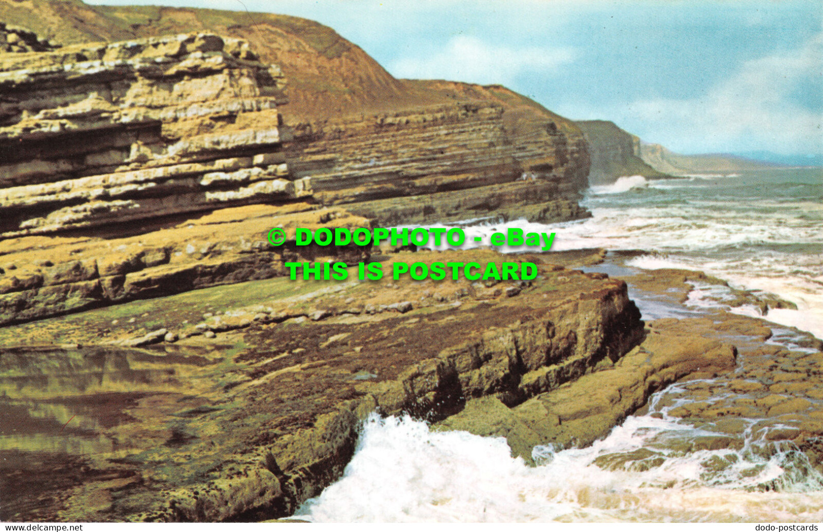 R485701 Filey Brigg. Postcard - Monde