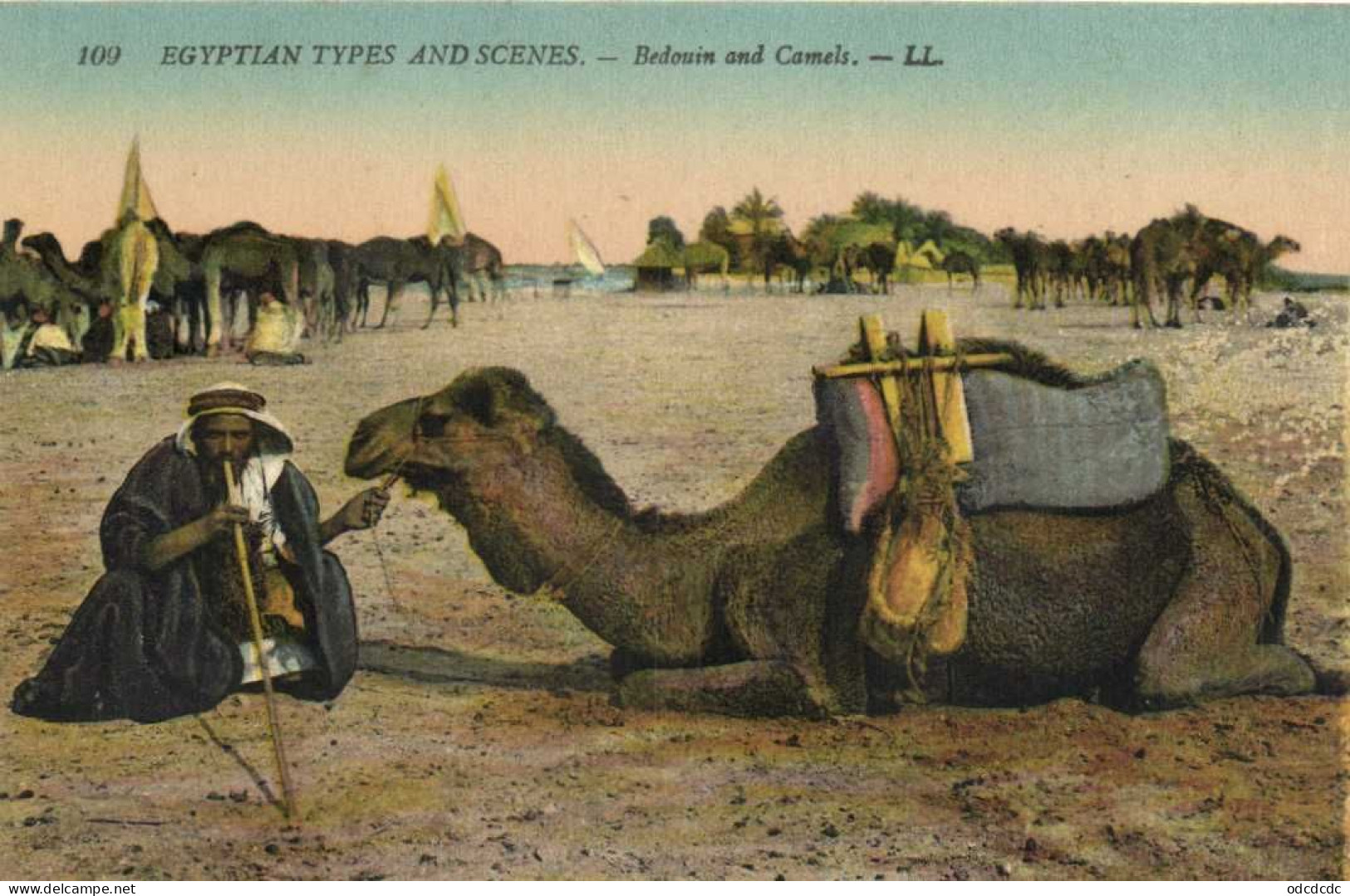 EGUPTIAN TYPES AND SCENES  Bedouin And Camels Colorisée RV - Sonstige & Ohne Zuordnung