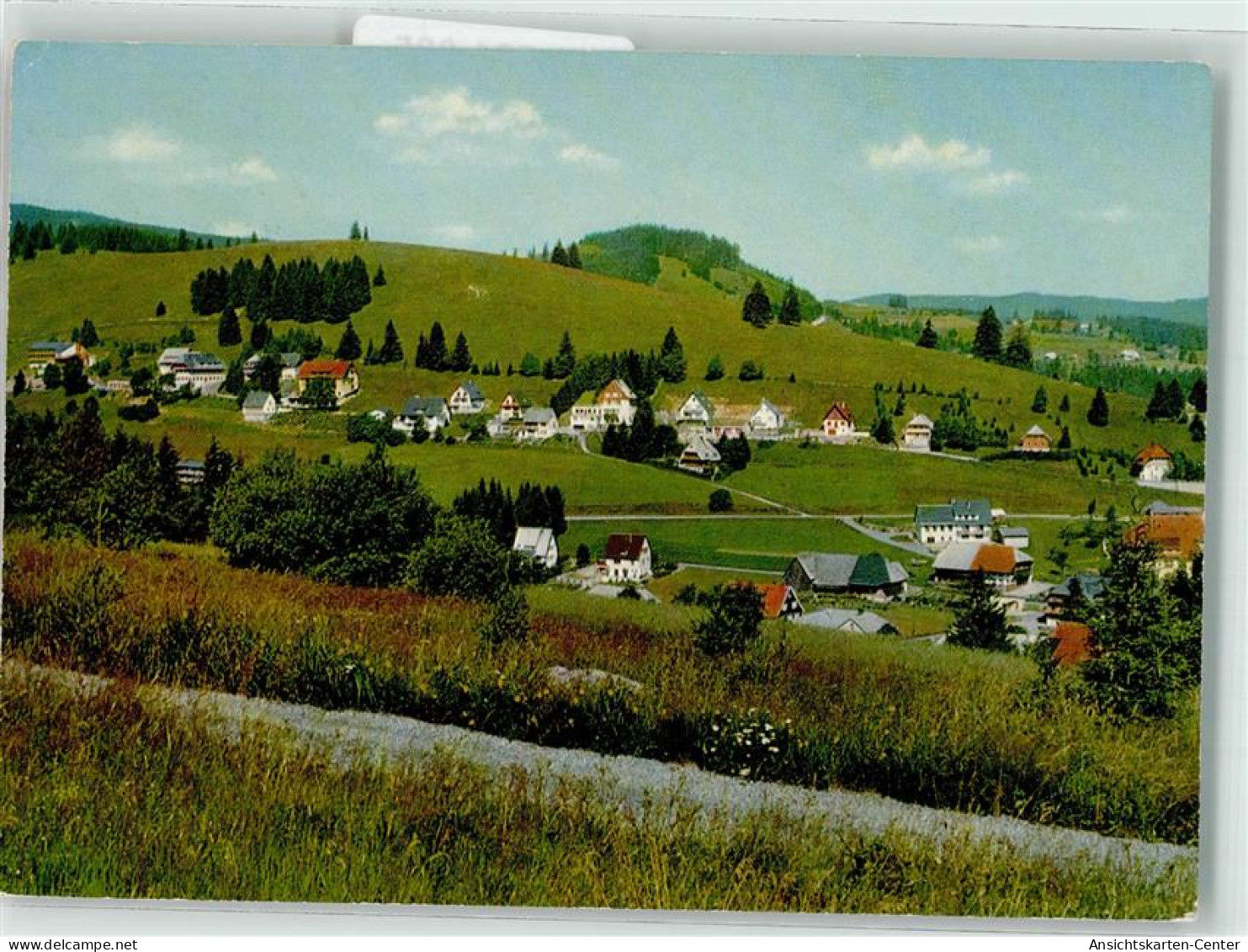 39521605 - Altglashuetten , Schwarzw - Feldberg