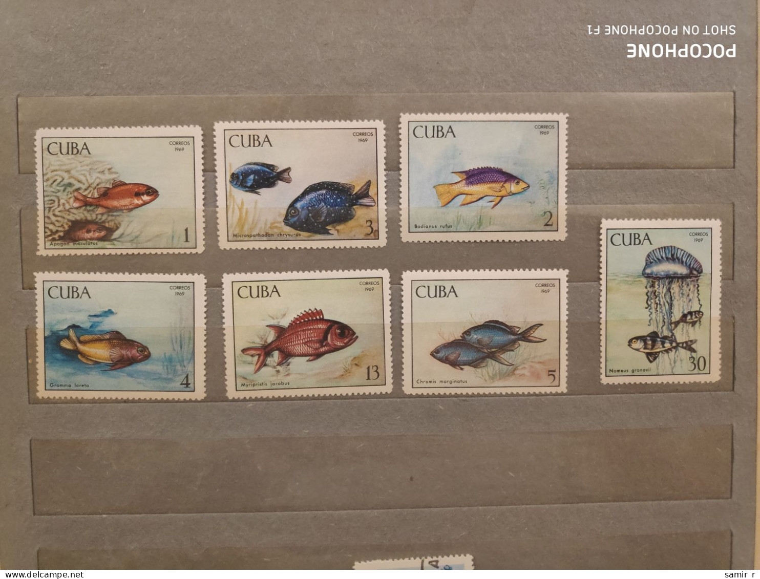 1969	Cuba	Animals Fishes   (F90) - Nuevos