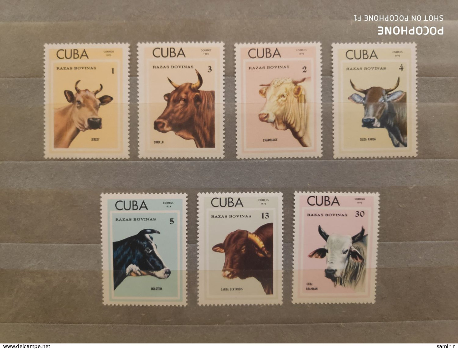 1973	Cuba	Animals Cows (F90) - Ungebraucht