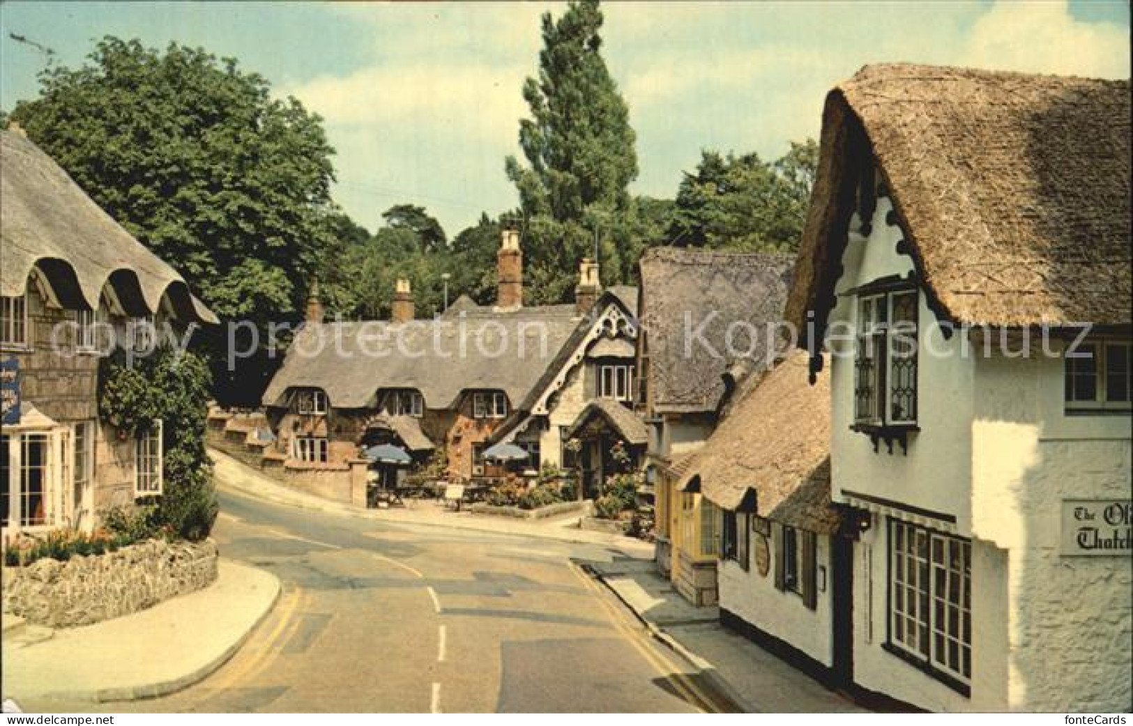 72396942 Shanklin The Old Village Isle Of Wight - Autres & Non Classés