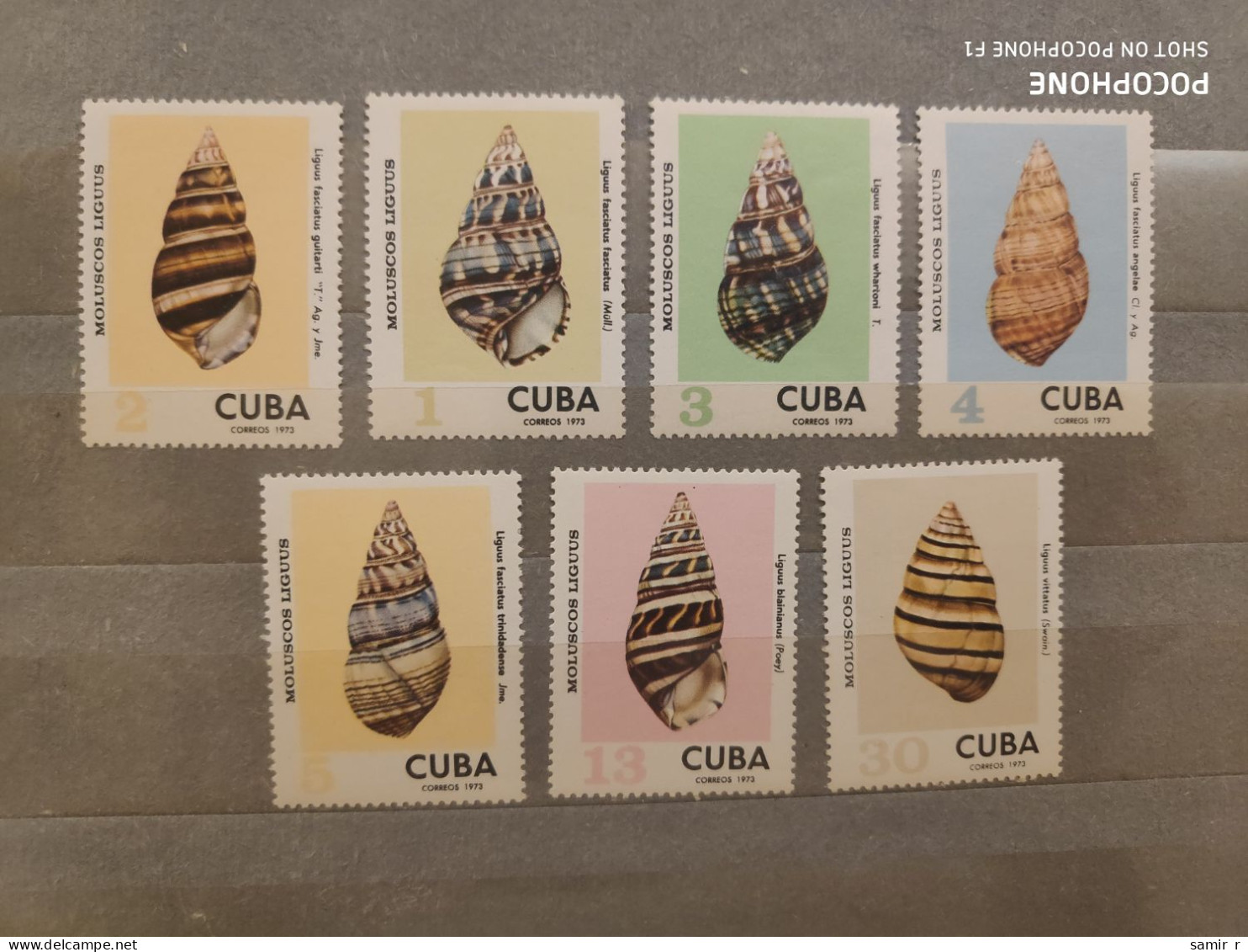 1973	Cuba	Shells (F90) - Unused Stamps