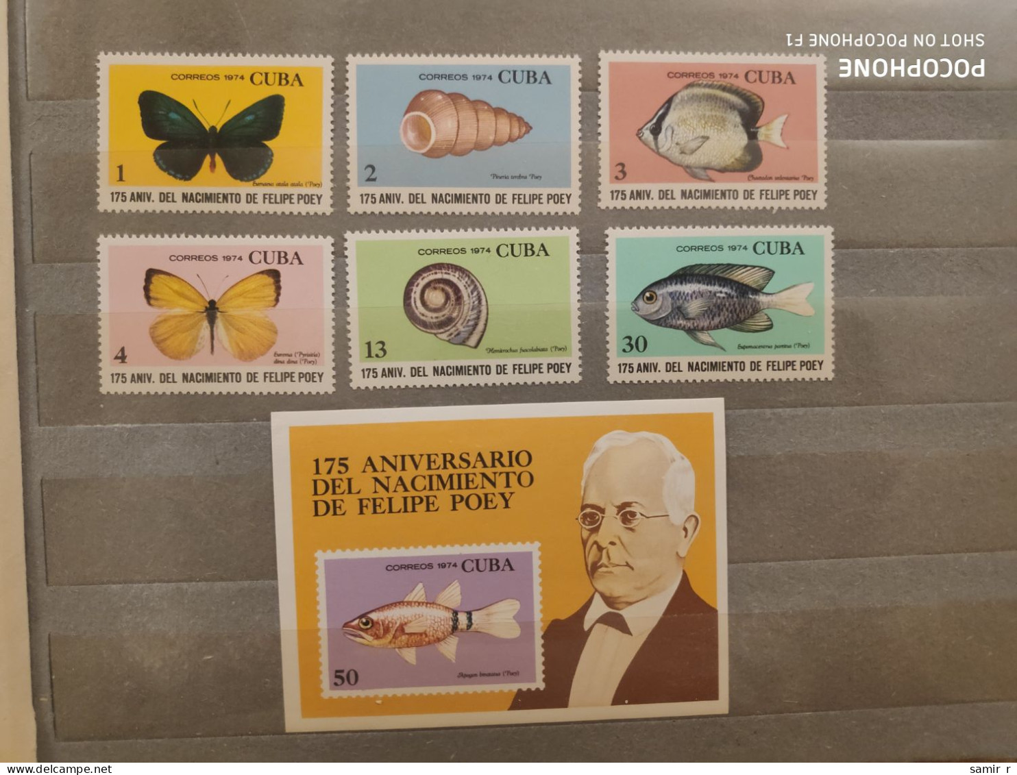 1974	Cuba	Fishes (F90) - Nuovi