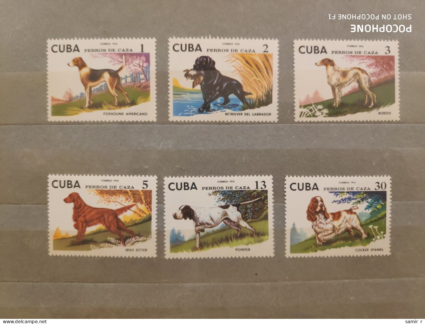 1976	Cuba	Dogs  (F90) - Nuovi