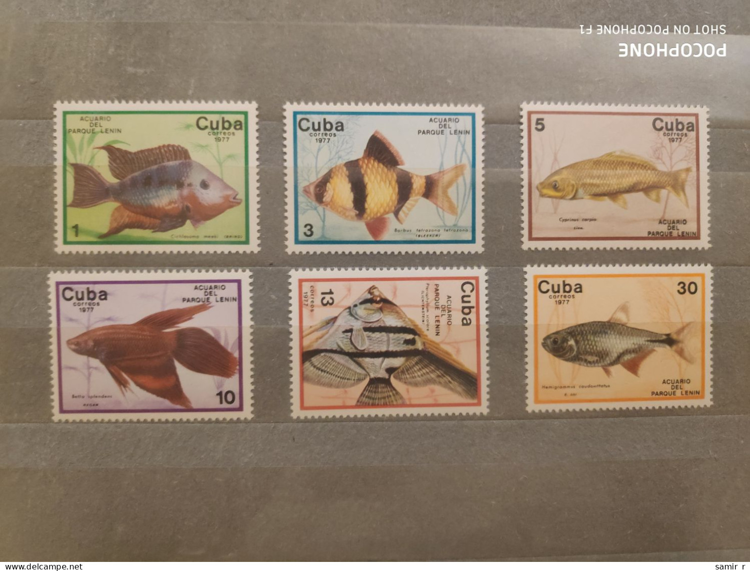 1977	Cuba	Fishes (F90) - Unused Stamps