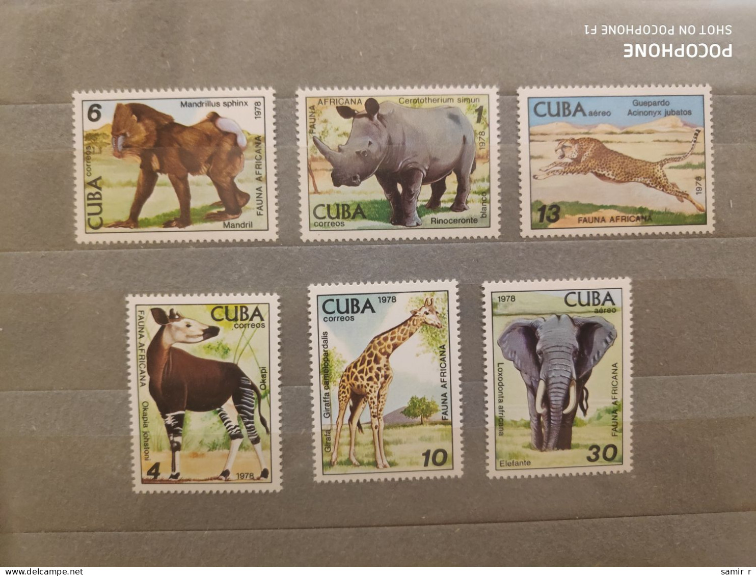 1978	Cuba	Animals  (F90) - Neufs