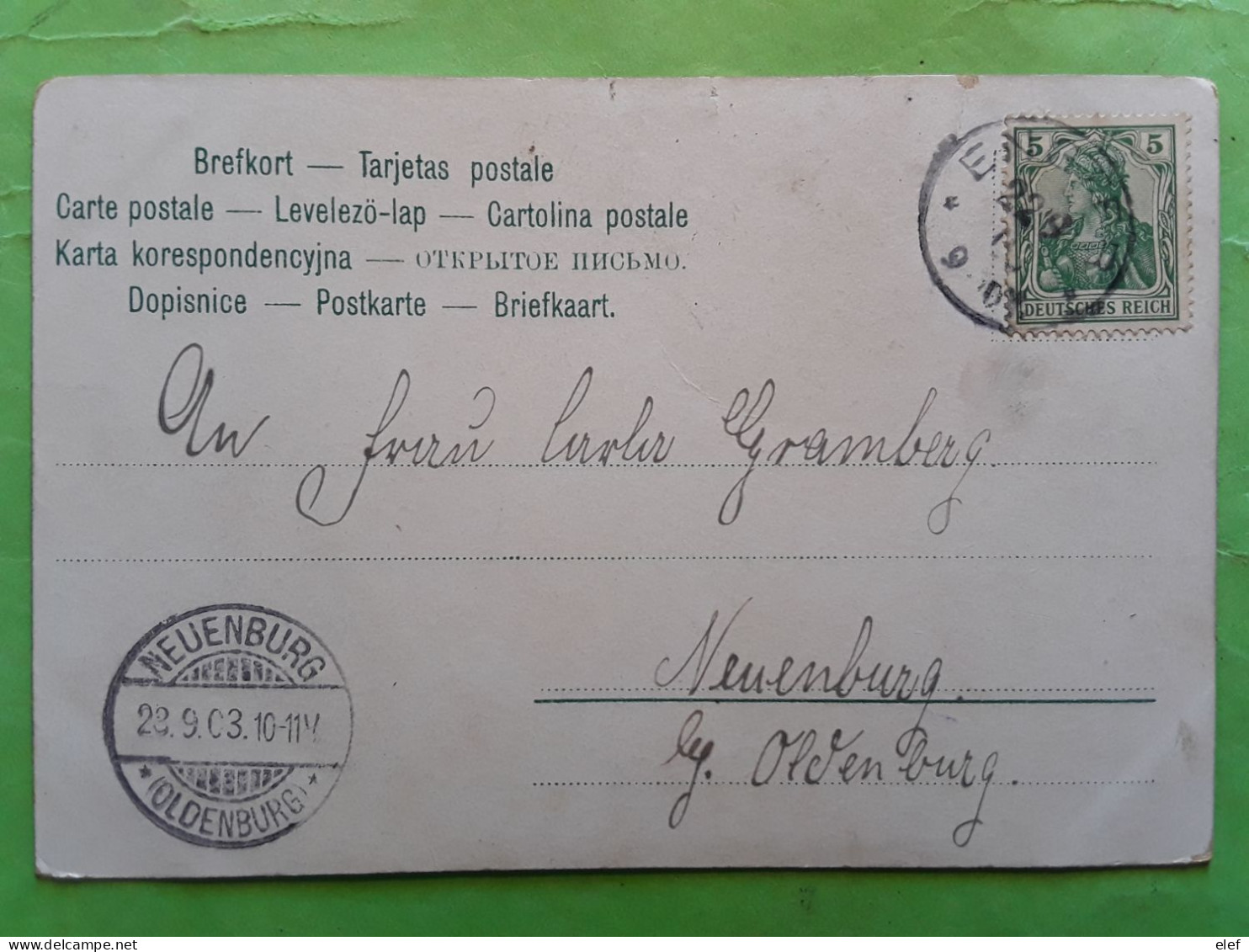 ENGTER, Bramsche  Niedersachsen,  Pferdegespann Postkarte 1903 > Neuenburg ,  TB - Covers & Documents