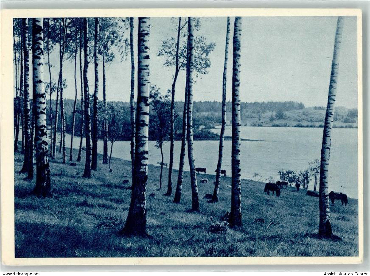 39638405 - Zvejniekciems Fischerort - Lettland