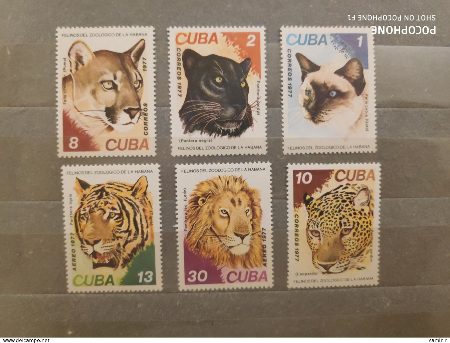 1977	Cuba	Animals   (F90) - Nuevos
