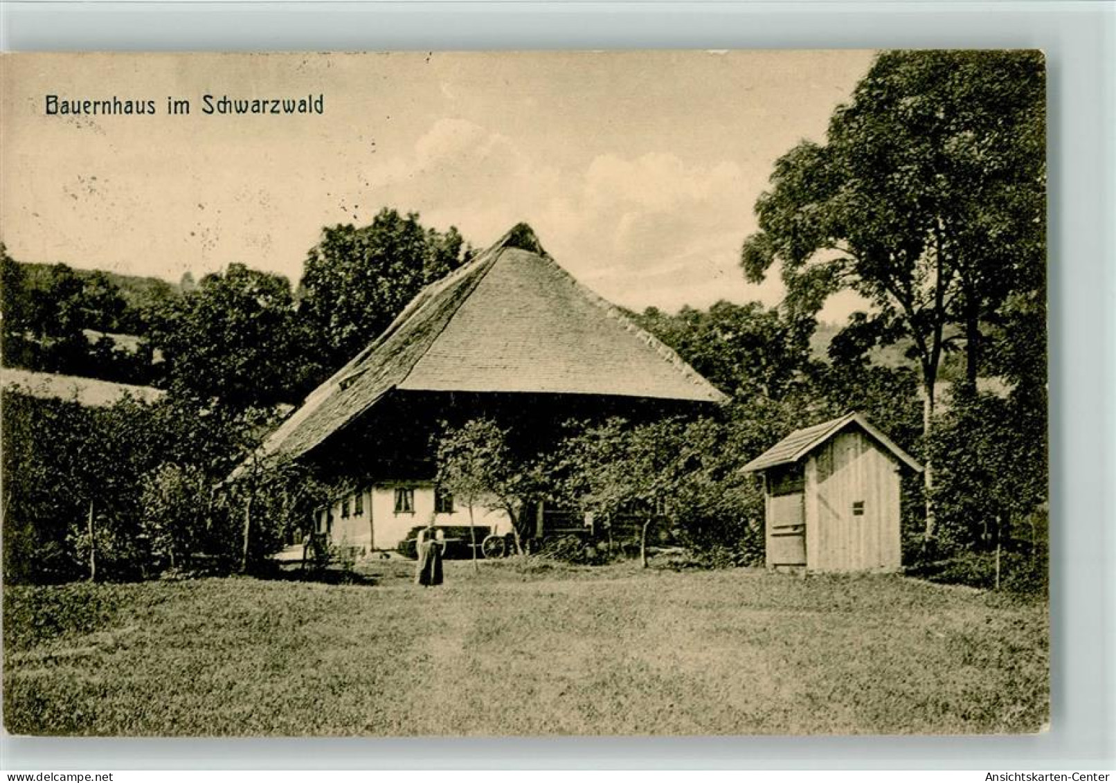 12073305 - Schwarzwald Haeuser Bauernhaus  Mit - Hochschwarzwald