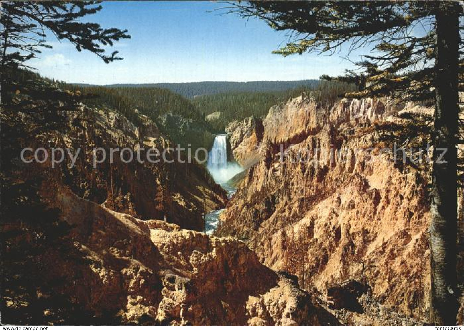 72371156 Yellowstone_National_Park Grand Canyon  - Autres & Non Classés