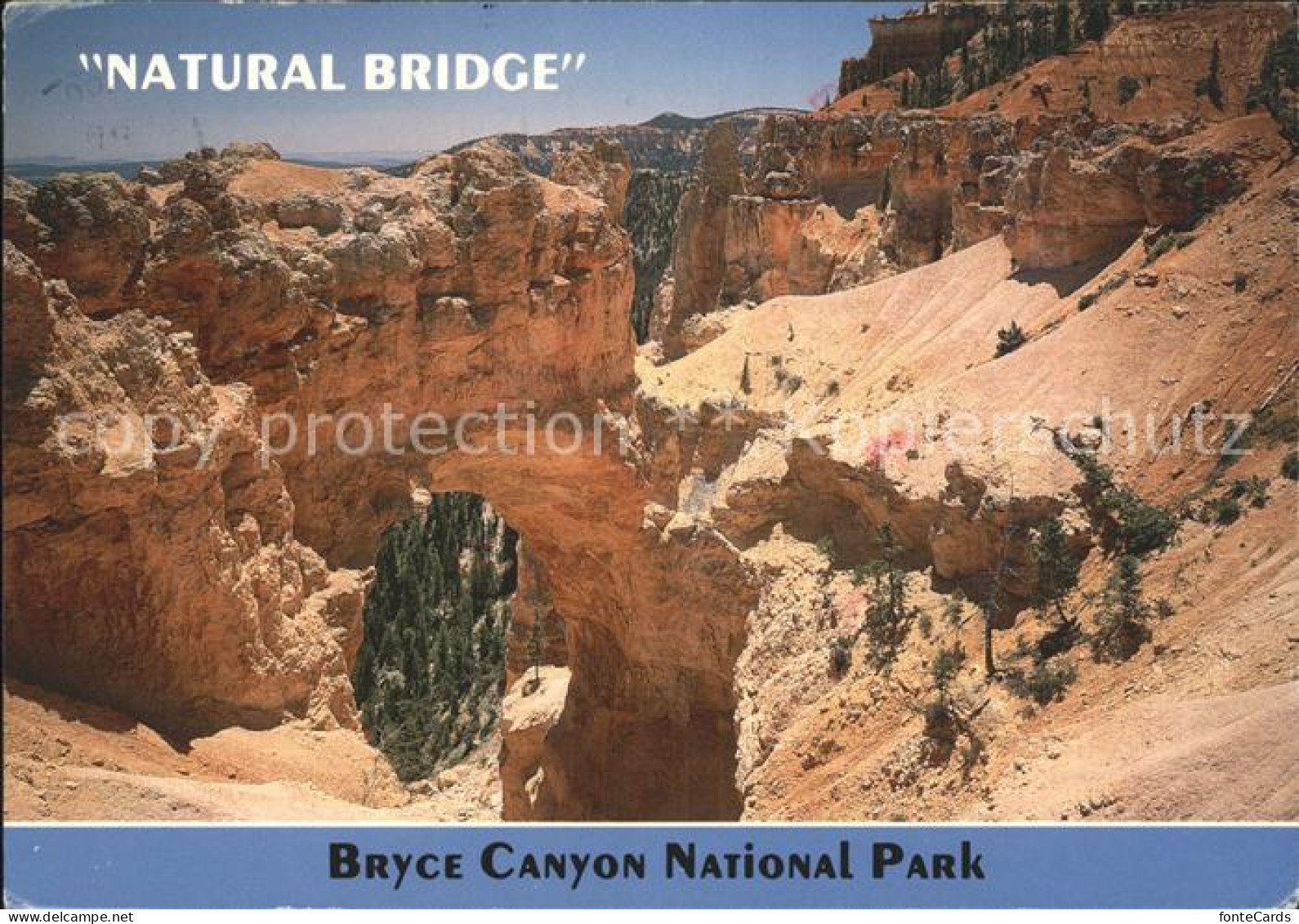 72369261 Bryce_Canyon National Park Natural Bridge Utah - Otros & Sin Clasificación