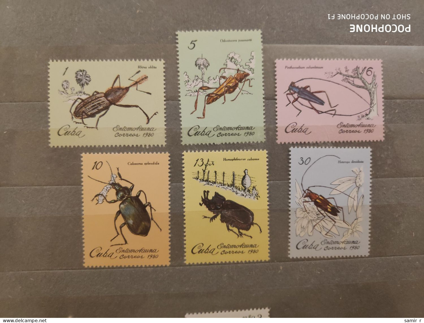 1980	Cuba	Insects   (F90) - Nuevos